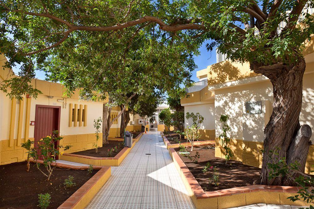 Apartamentos Plataneras Los Cristianos (Tenerife) Ngoại thất bức ảnh